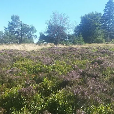 Hilleseeblick Appartamento