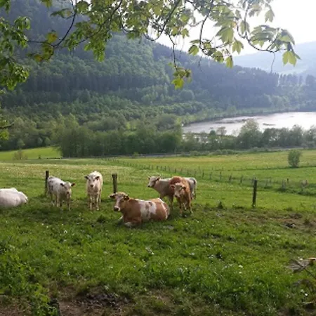 Hilleseeblick Appartamento Winterberg