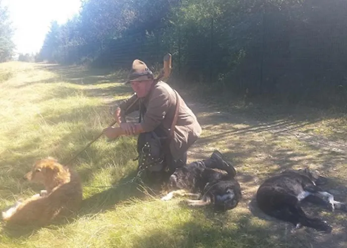 Hilleseeblick Apartman *