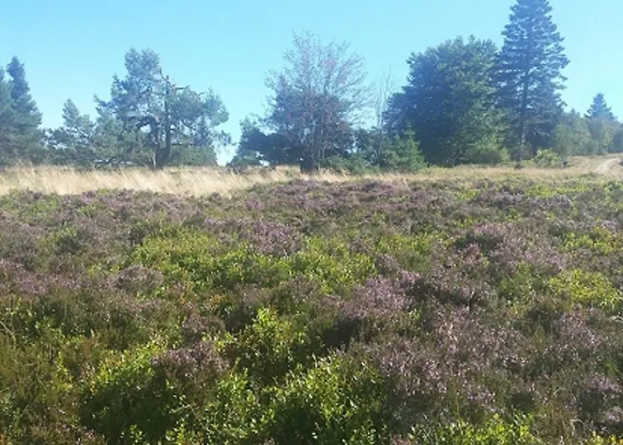 Hilleseeblick Apartman
