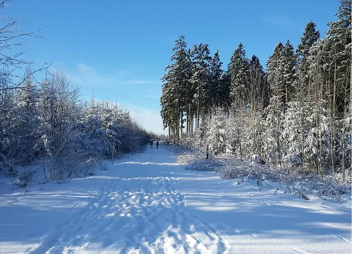 Appartement Hilleseeblick *