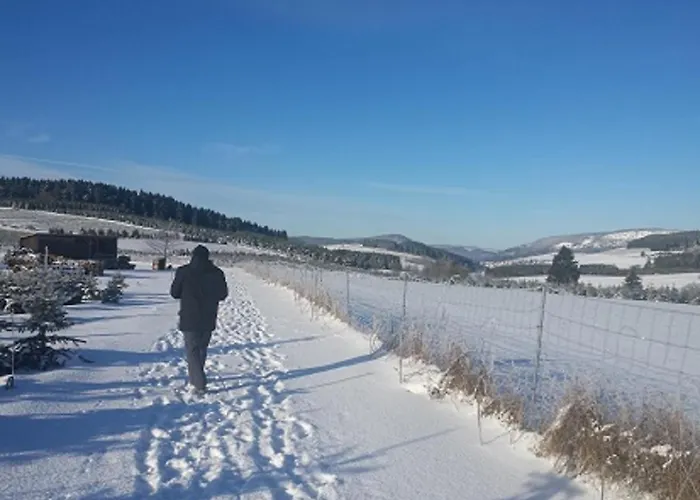 Apartamento Hilleseeblick Winterberg