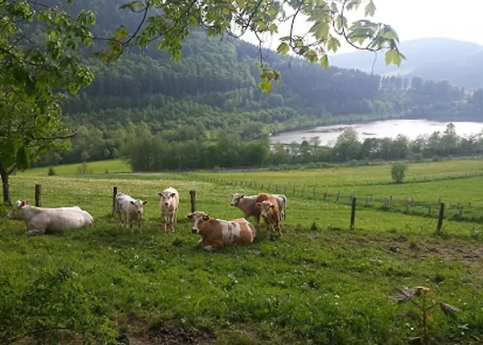 Hilleseeblick Apartamento Winterberg